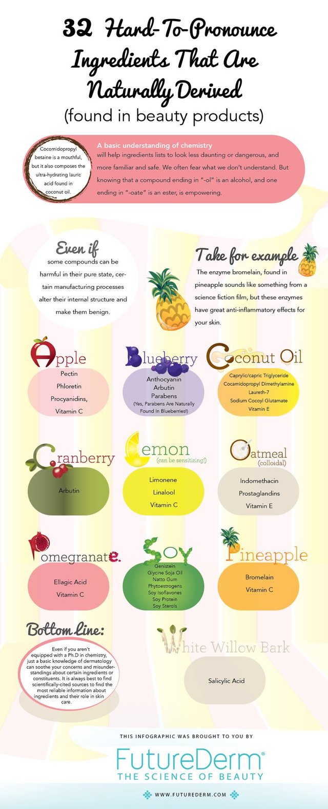 infographic ingredients pronounce derived naturally hard translated makeup