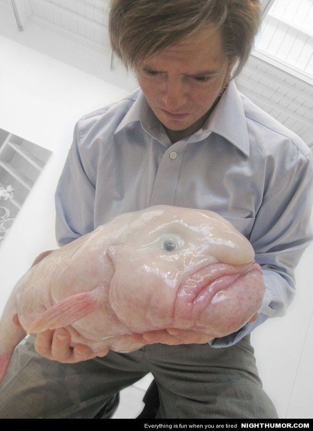 The Blobfish Isn't Really That Ugly