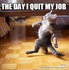 Image result for quitting funny