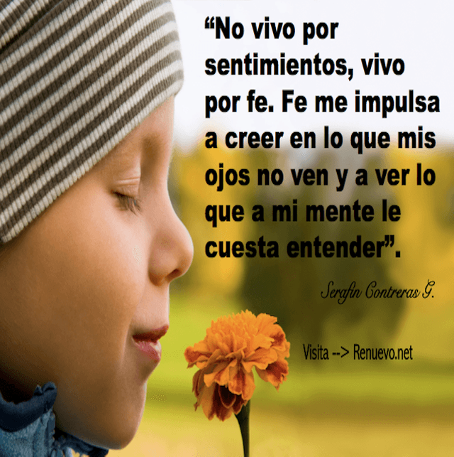 FRASE DE REFLEXION — Steemit