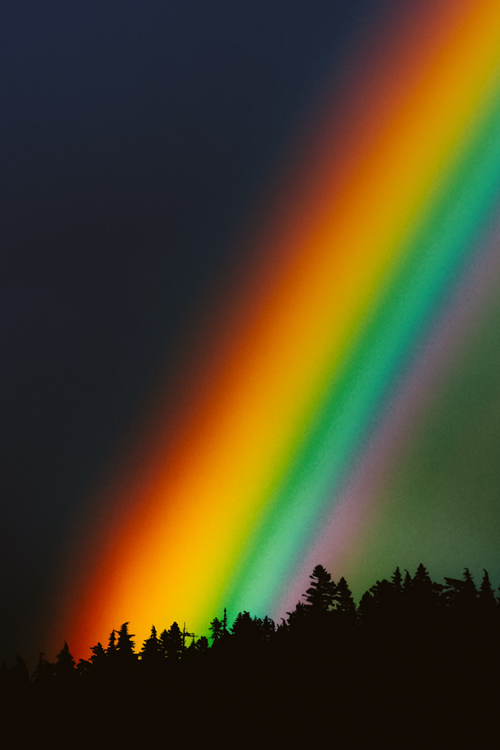 How Are Rainbows Formed? The Science Behind the Colors