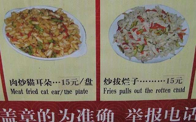 Image result for chinese cat menu funny