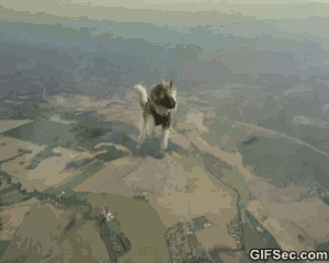 Image result for skydive fail gif