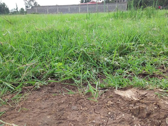 20190616-150904.jpg
