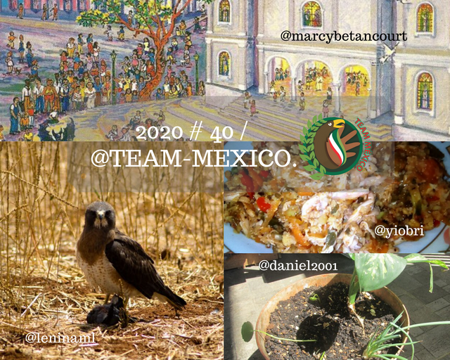 2020 # 40 / @team-mexico.