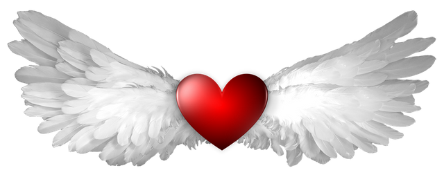 Angel wings with Heart