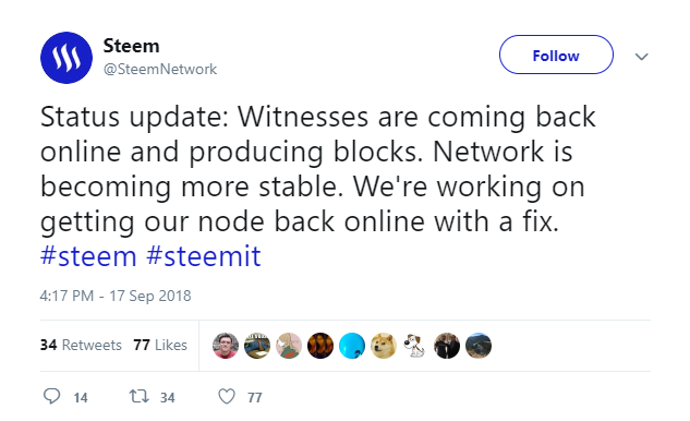 twitter steemit witness bitcoin bit torrent
