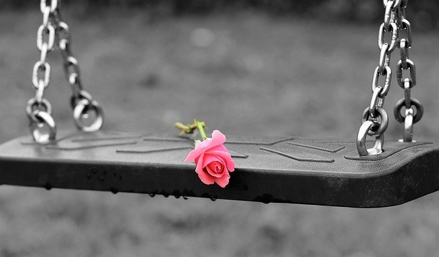 pink-rose-on-empty-swing-3656894-640
