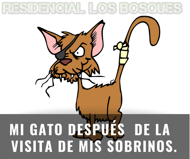 Mi-gato