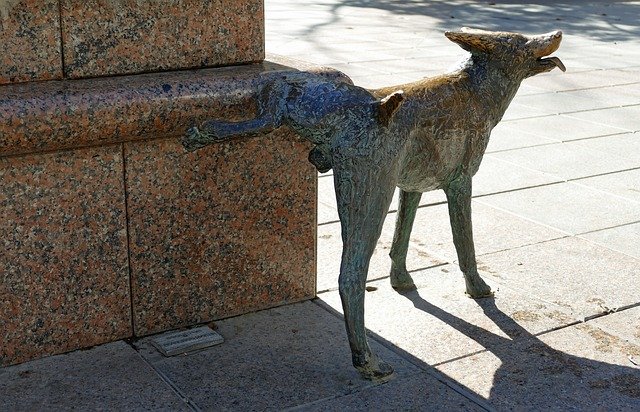 statue - dog peeing