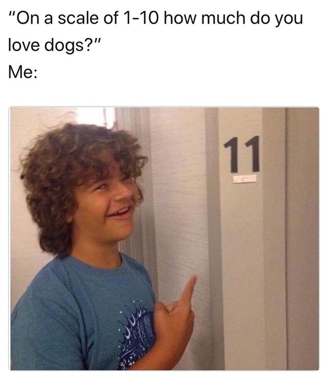 https://i.redd.it/fuyd217d9j301.jpg
