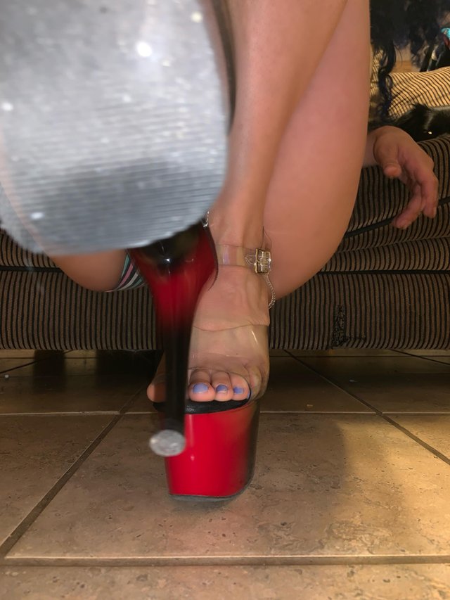 The best seat in the house is below my feet, would you like to try it out? Don’t forget to upvote you little pigs 😘