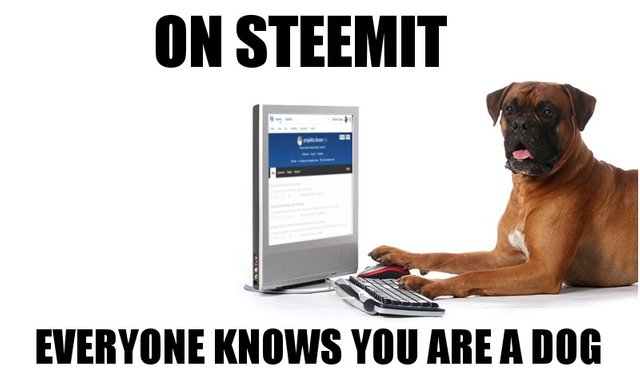 On Steemit Everyone Knows you are a dog