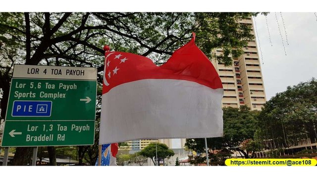  Singapore Flag