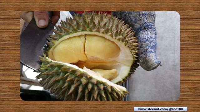 Durian09