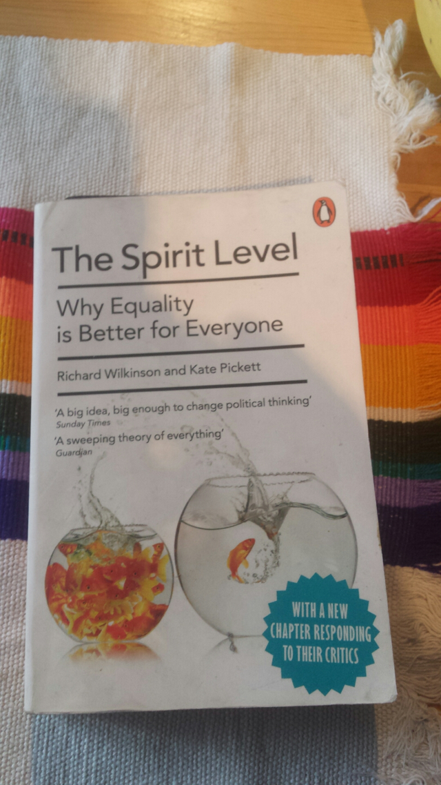 the spirit level book review