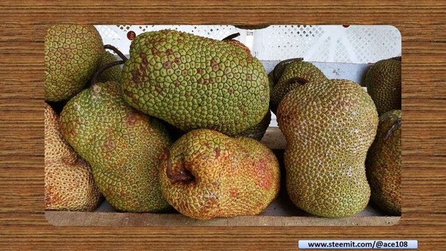 Durian14