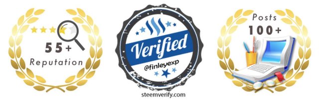 FinleyExp Badges