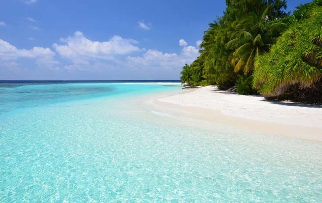 Maldives beach