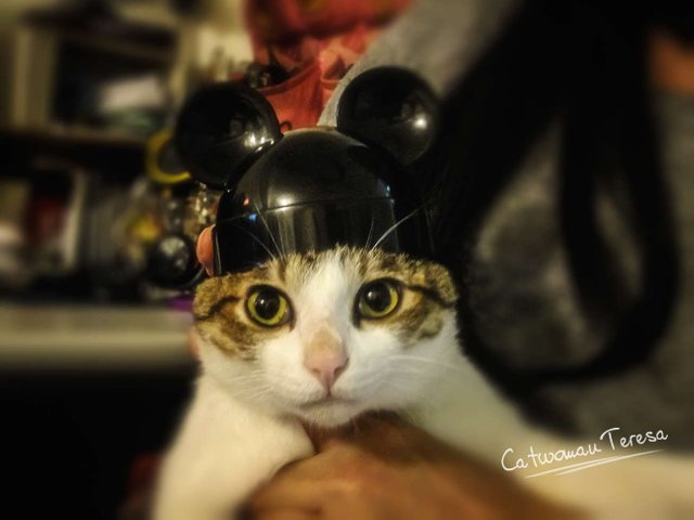 Micky01