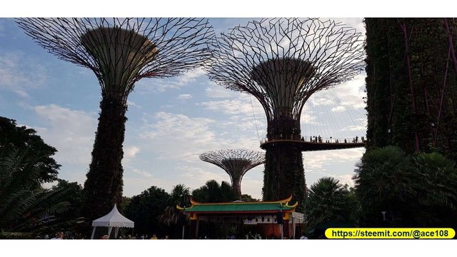 Mid-Autumn 2018 at Gardens by the Bay 230