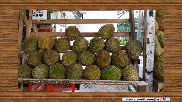 Durian03