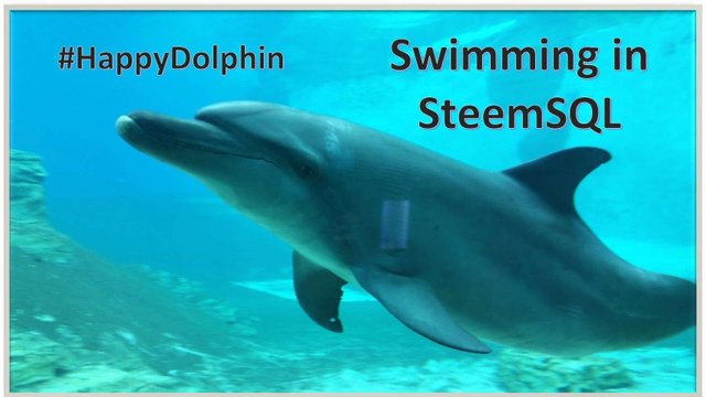 HEADER-Swimming with SteemSQL