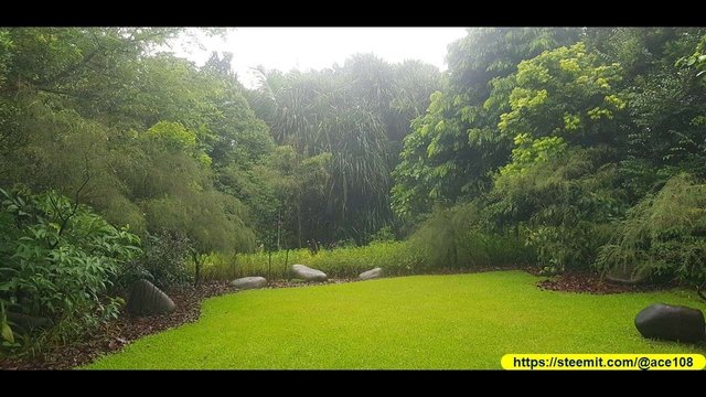 Singapore Botanic Gardens