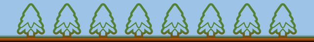 SEPARATOR-Tree Evergreen