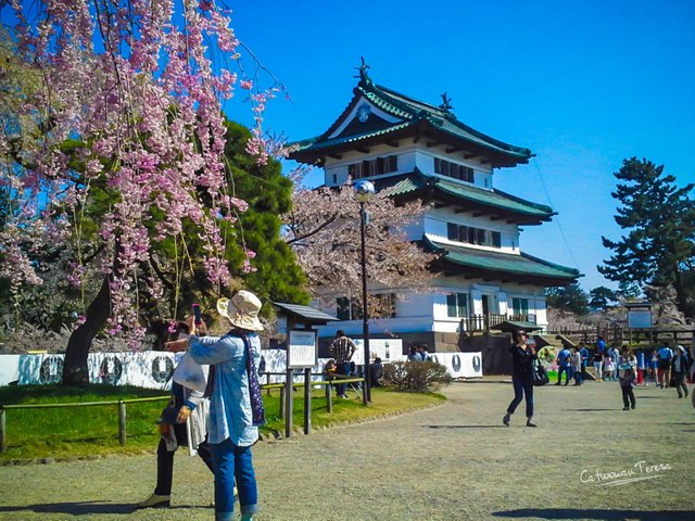 Hirosaki14