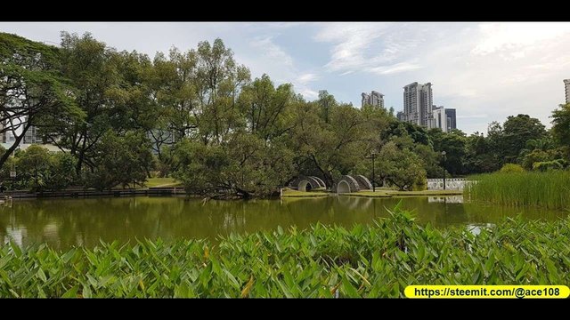 Walk to Balestier Road30