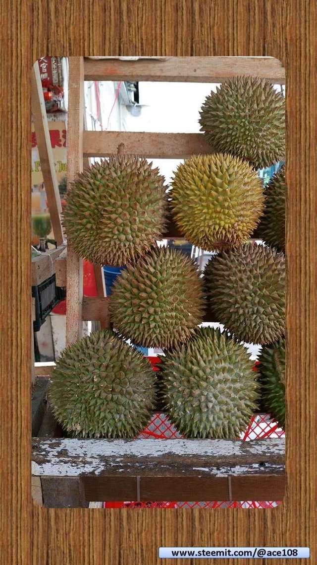 Durian04