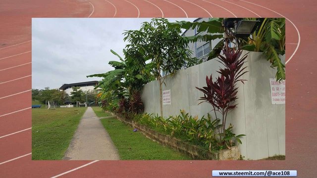 Path to Sports School