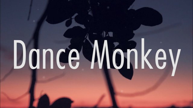 Dance Monkey Lyrics