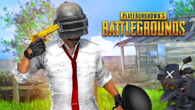 Image result for PUBG PIC funny