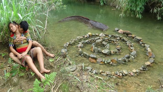 Survival skills: Build Fish Trap From Stone Catch Big Fish - Cooking  Delicious Fish — Steemit