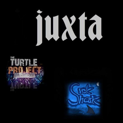 Juxta and The Turtle Project - Crash And Burn (Sick Shark Remix) by Sick Shark
