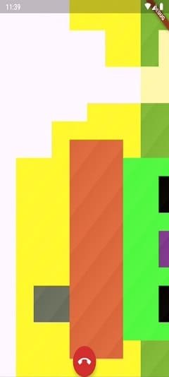 Twilio Video call Flutter