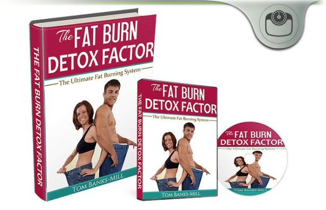 Fat Burn Detox Factor
