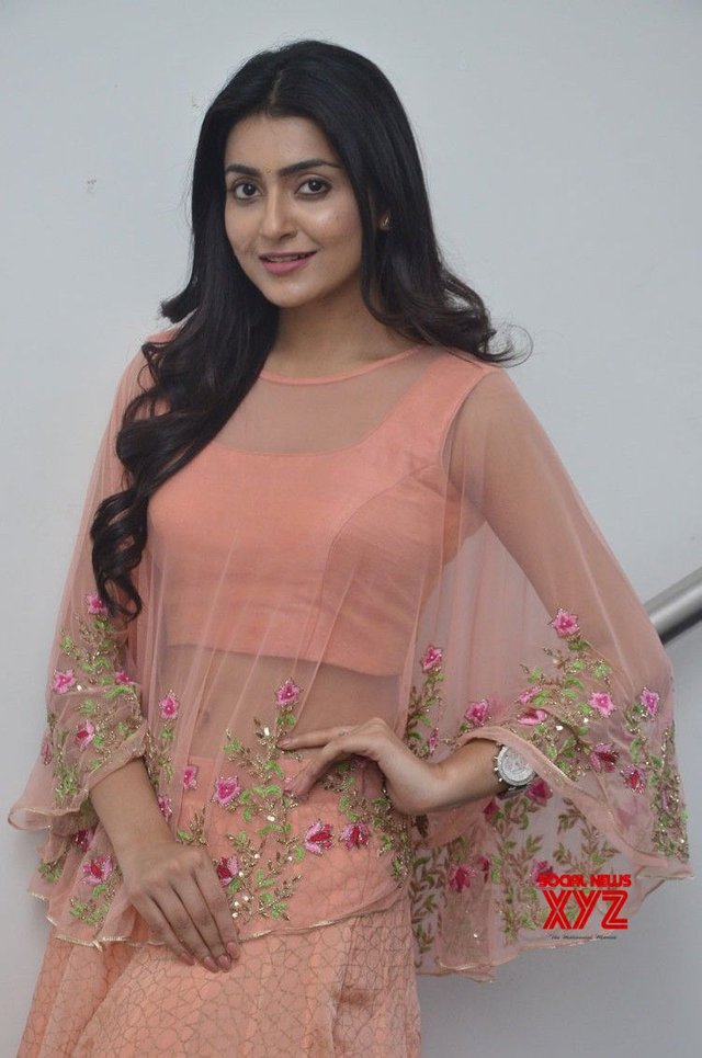 Actress Avanthika Mishra Stills From Vaishakam Movie Success Meet