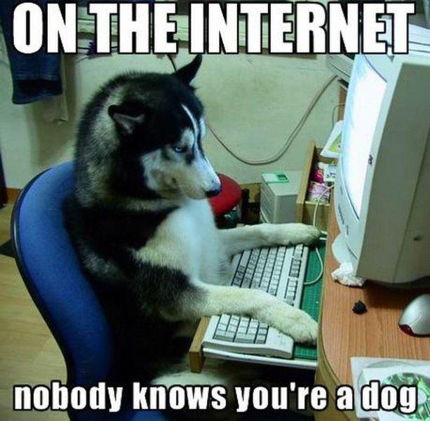 on the internet, nobody knows you're a dog