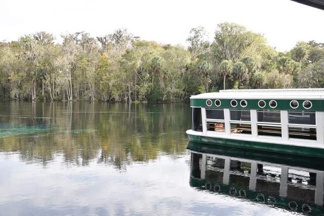 Glass Bottom Boat at Silver Springs State Park
