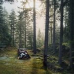 daniel sessler 4FATuOqXOH4 unsplash 630x420 ePeGRY