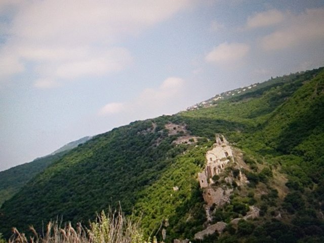 Israel Landscape Mountains Forest Trees Steemit