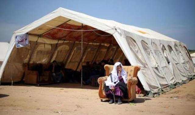 Join the “Tent Campaign” for solidarity with Gaza and truth-sharing