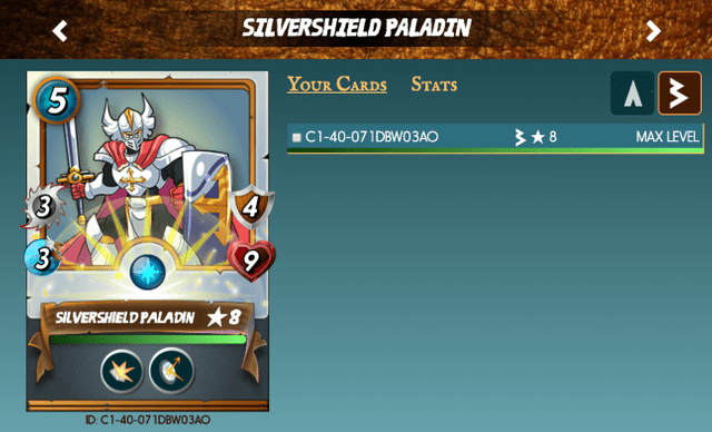 SIlvershield Paladin screenshot