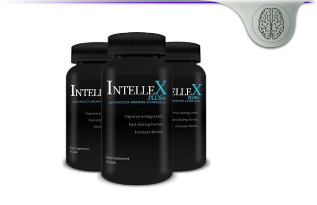 Image result for intellex plus reviews
