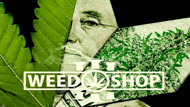 Descargar Weed Shop 3