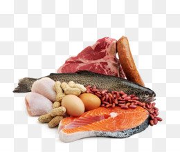 Seafood Meat Fish Protein - meat @kisspng