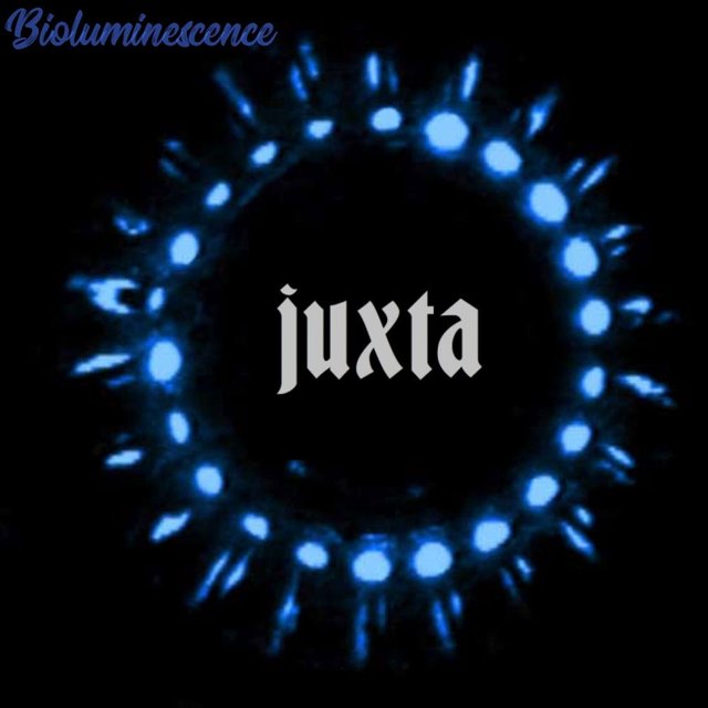 Bioluminescense by Juxta